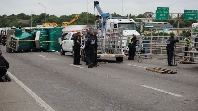 Cattle Trailer Crashes, Closes NB I-35E