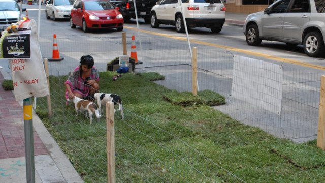 Scenes From PARKing Day Dallas 2012