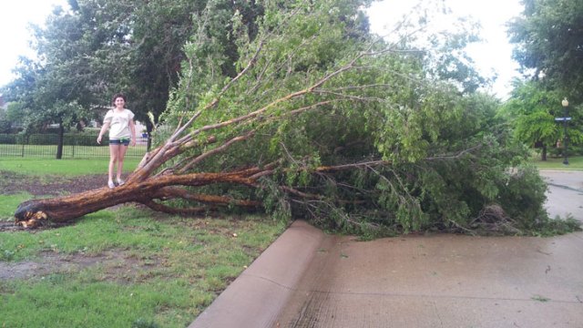 Your Storm Photos - July 20, 2012