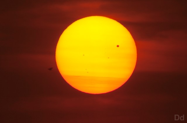 Viewer Photos: Venus Transit