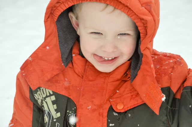 Snow-dorable: Gallery II