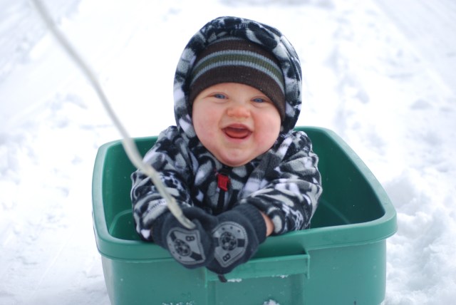 Friday Snow Photos - Gallery I