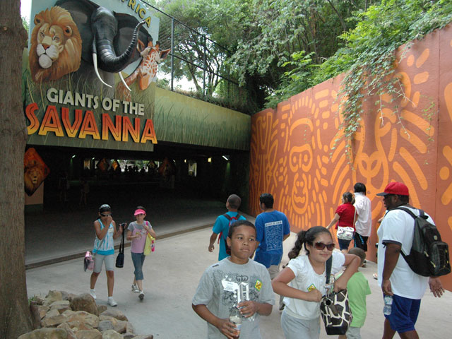 Where We Were: Giants of the Savanna