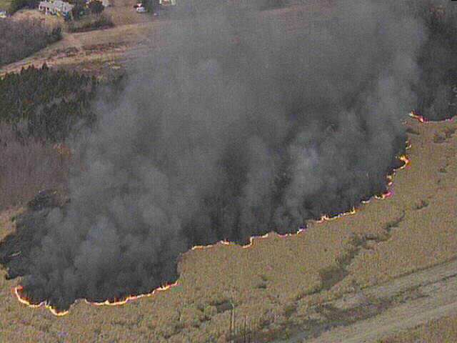 Photos: Onlookers Stop to Watch Grass Fire