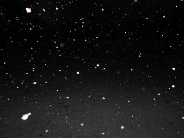 Snowy Tuesday in North Texas 