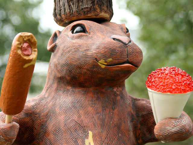 State Fair Photos