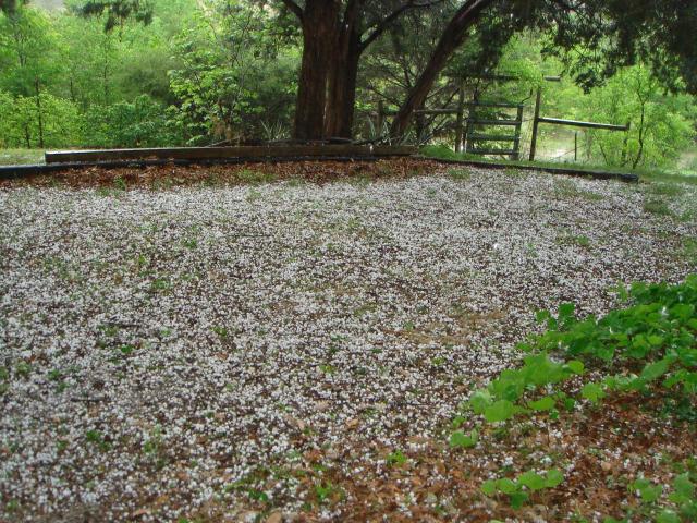 Easter Weekend Storms Rattle North Texas