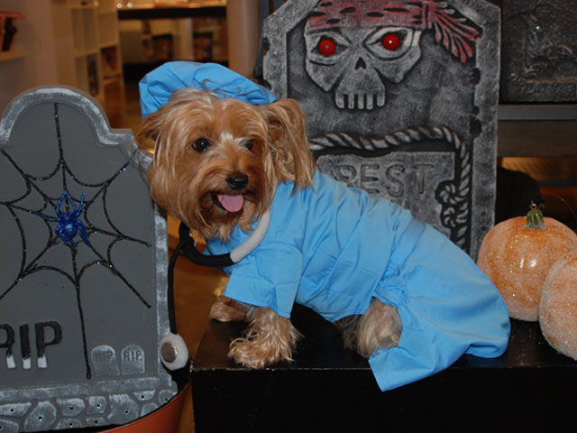 Dressing For Growlaween