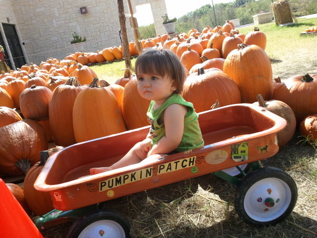 Your Fall Photos 2011 - Gallery VI