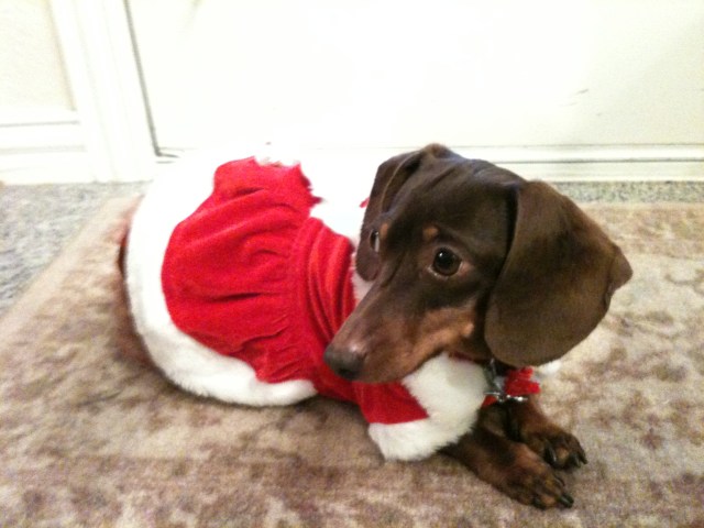 Holiday Photos 2011 - Gallery I