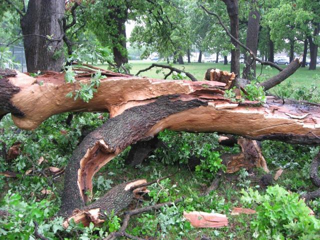 Wind and Hail Damage North Texas Homes
