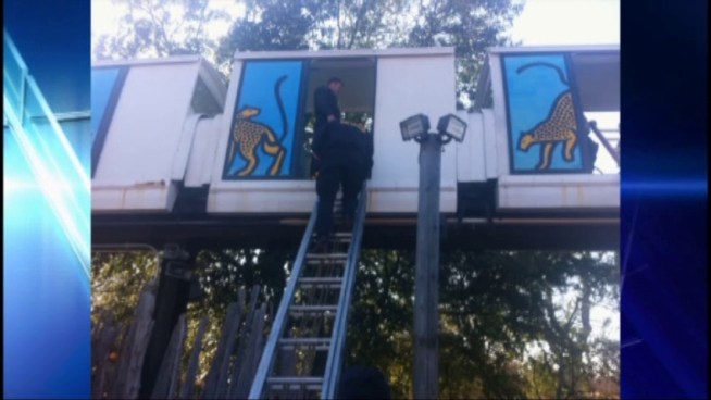 Firefighters rescue passengers using five extension ladders.