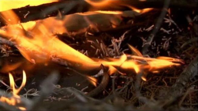 Residents who had first and second homes ravaged by the Possum Kingdom Lake wildfires got to see their homes for the first time since fires burned through the area.