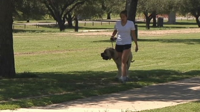 The City of Fort Worth looking to improve where citizens walk.