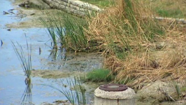 A major change in the way Dallas handles storm water promises to change the appearance of new development, and could be a trend in other North Texas cities.