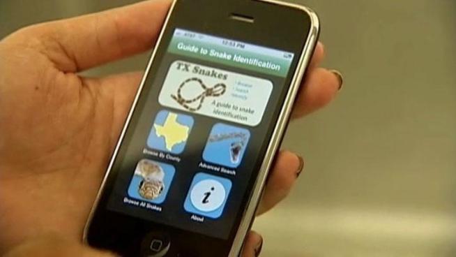 Texas Tech herpetology student Jeremy Weaver developed an iPhone App for identifying and understanding Texas snakes.
