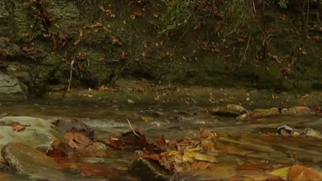 A sewage leak in McKinney has residents worried about the soil -- and smelling something foul.