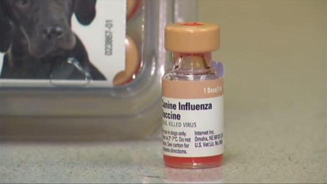 Veterinarians are warning pet owners about the 
