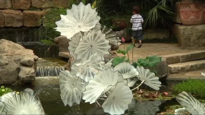 During Wednesday s severe storms, hail as big as baseballs chipped and damaged six pieces of the Chihuly glass artwork at the Dallas Arboretum.