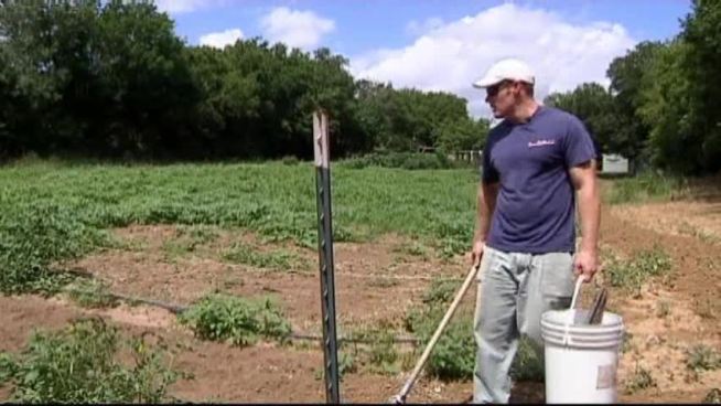 A Denton resident has turned his passion for urban agriculture into a business and is teaching others to do the same. 