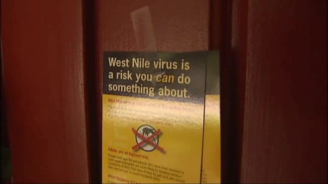 The director of the Code Compliance Department in Fort Worth says he may recommend targeted ground spraying to the city council this week.