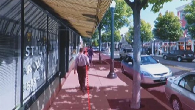 This fall Dallas city leaders want voters to approve money for 