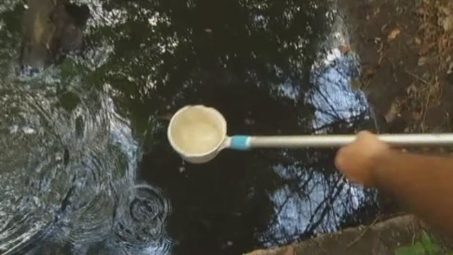 Dallas County has launched an action plan to fight West Nile virus carrying mosquitoes year-round.