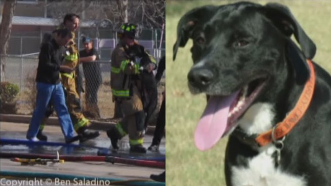 The community is pulling together after Jake the dog was hurt in a fire at the Kwik Kar in Bedford Tuesday.