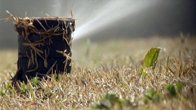 The City of Frisco is sending out letters to residents who might be considered water wasters. Thousands of notices will soon be arriving in the mail.