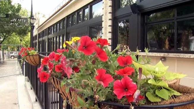 A building housing several restaurants that burned in massive fire last year is opening back up for business.