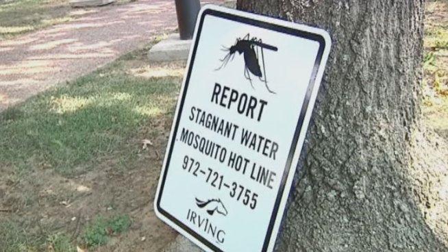 The City of Irving is collecting data to decide if the city will need to spray for mosquitoes in the battle against West Nile Virus.