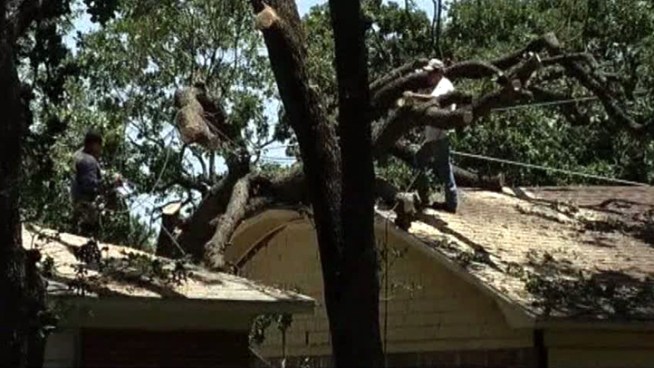 The Metroplex is busy repairing damage from strong winds and large hail that battered trees, homes and cars.