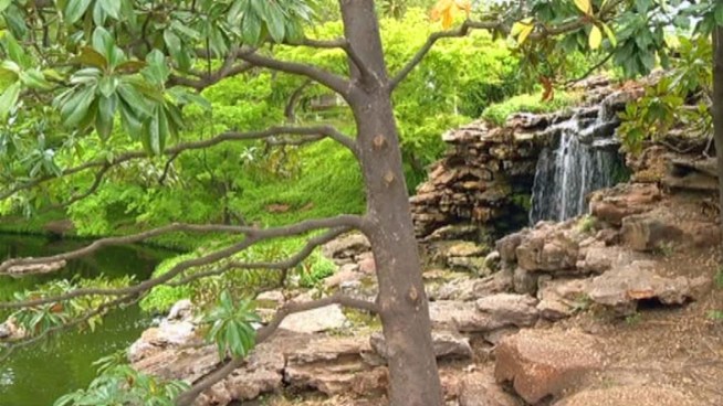 The Fort Worth Botanical Society is spending more than $500,000 to improve portions of the Botanic Garden, that's great news for the 70,000 yearly visitors.