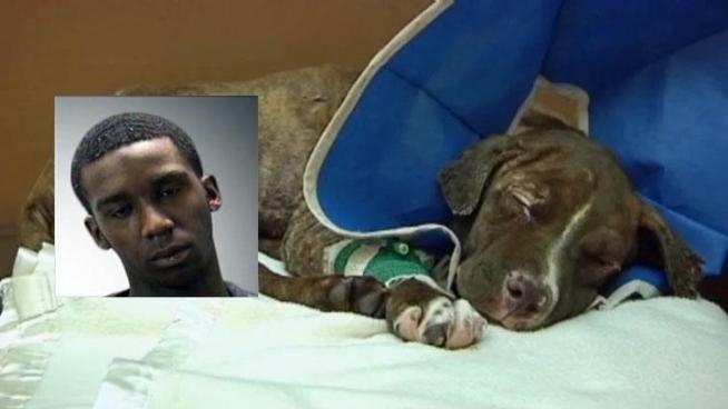 Darius Ewing, the man accused of setting Justice the puppy on fire will have to wait to see if his bond is reduced because the judge in the case recused himself, but there's more controversy brewing behind the scenes.