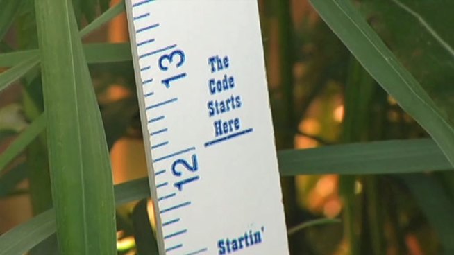 Code Enforcement officers in Fort Worth are cracking down on property owners who aren't maintaining their yards.