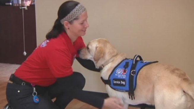 Rockwall-based Patriot Paws says it has seen donations slow down while demand grows for service dogs for veterans.