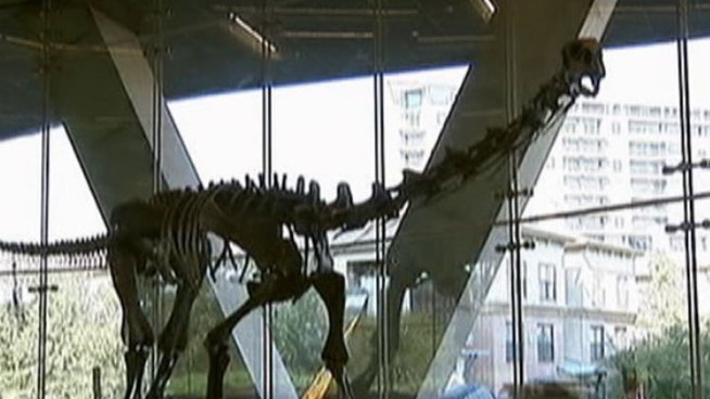 Dallas' Perot Museum opens to oohs and ahhs Saturday.