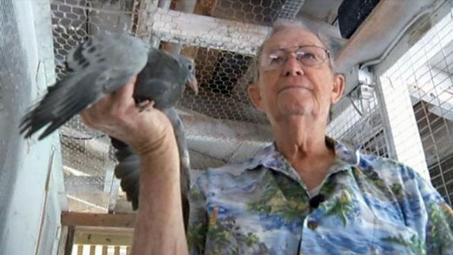 A plan to change Arlington's animal control ordinance to limit the number of birds people can have doesn't fly with some pigeon breeders.