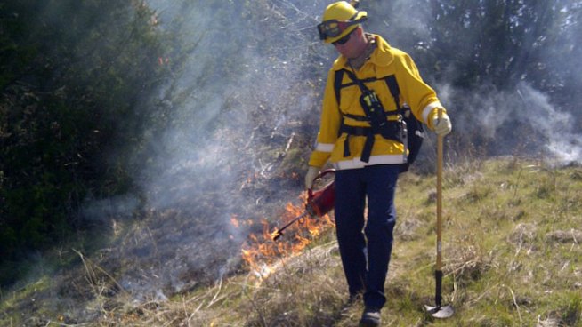 Cedar Hill State Park is conducting a prescribed burn with firefighters from Cedar HIll, Plano and Lewisville setting fires in the nearly 2,000 acre park.