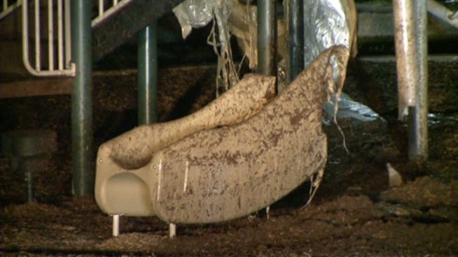 Raldon Park playground in Lewisville caught fire overnight. Investigators are looking to see if it was arson.