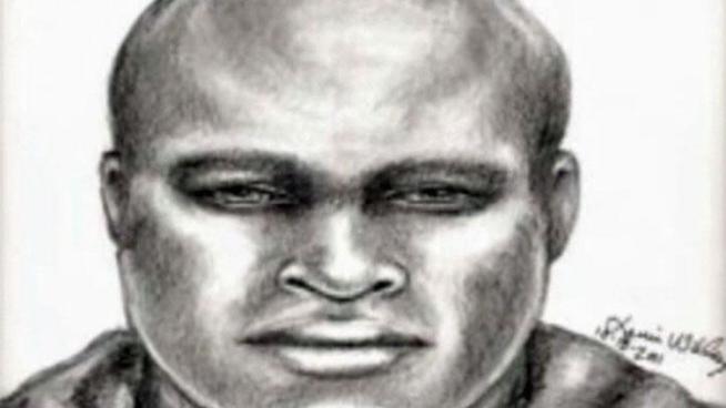 Plano Police released a sketch of a serial rapist, but police warn his attacks may not be limited to a single sorority.