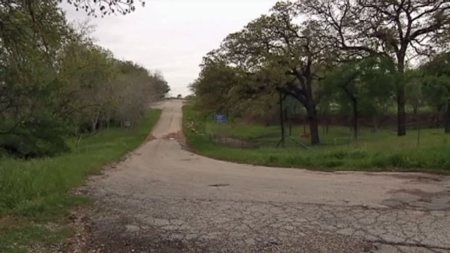 Texas Wildlife Services will start setting traps and killing coyotes that have been causing havoc in a Mansfield neighborhood.