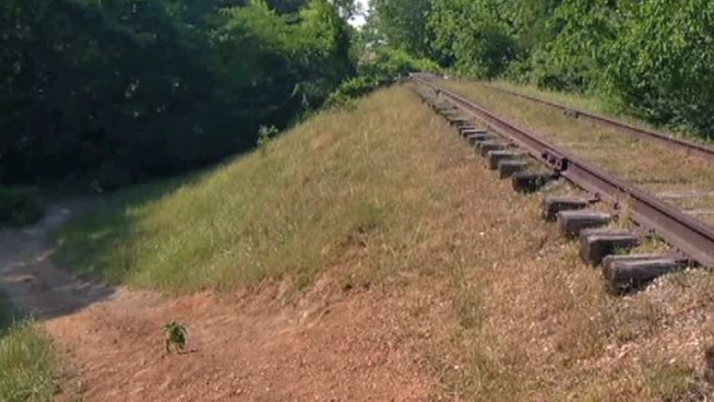 Remains of burned human body found early Saturday morning.