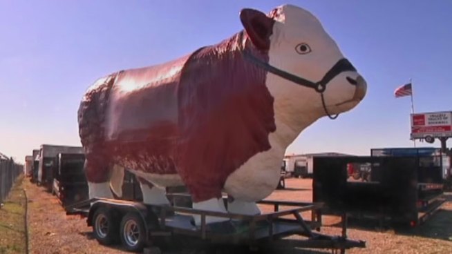 For the steer to stay, the owner has to buy a special event permit or the sign code would have to be amended.