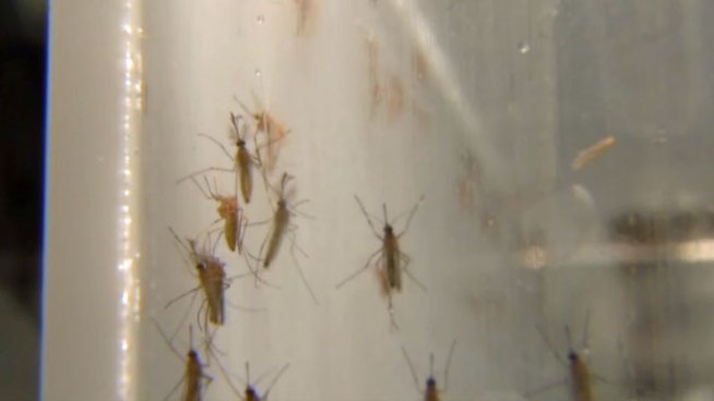 For the first time in 10 years unincorporated Tarrant County will be sprayed to kill mosquitoes infected with West Nile virus.