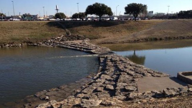 The Fort Worth Fire Department pulled a woman's body from the Trinity River Wednesday afternoon after receiving calls of a woman yelling for help.