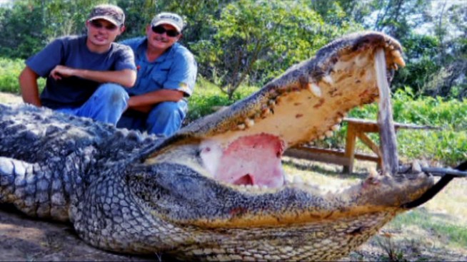 A Dallas attorney is in trouble with game wardens for killing a 13-foot alligator in the Trinity River.