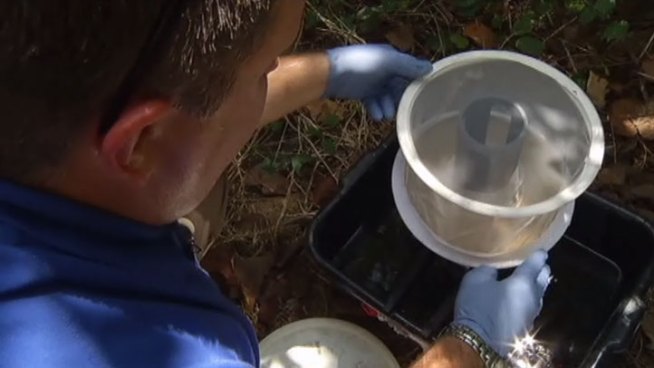 Dallas unveiled its new West Nile virus plan which includes beginning to test for infected mosquitoes.