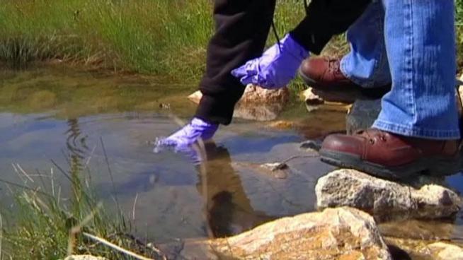 Denton County residents volunteer to monitor bodies of water in their communities.