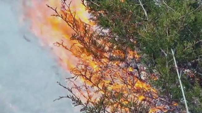 North Texas firefighters are getting important training in fighting wildfires, a mandatory course that must be complete by March.